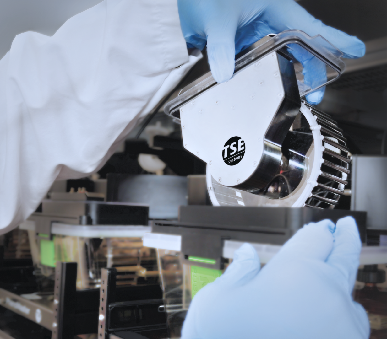 Tse Labmaster TSE - preclinical in-vivo research